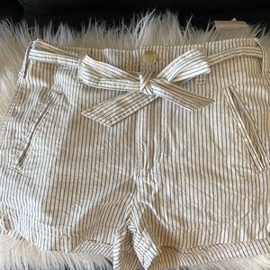 American Eagle Size 00 Shorts